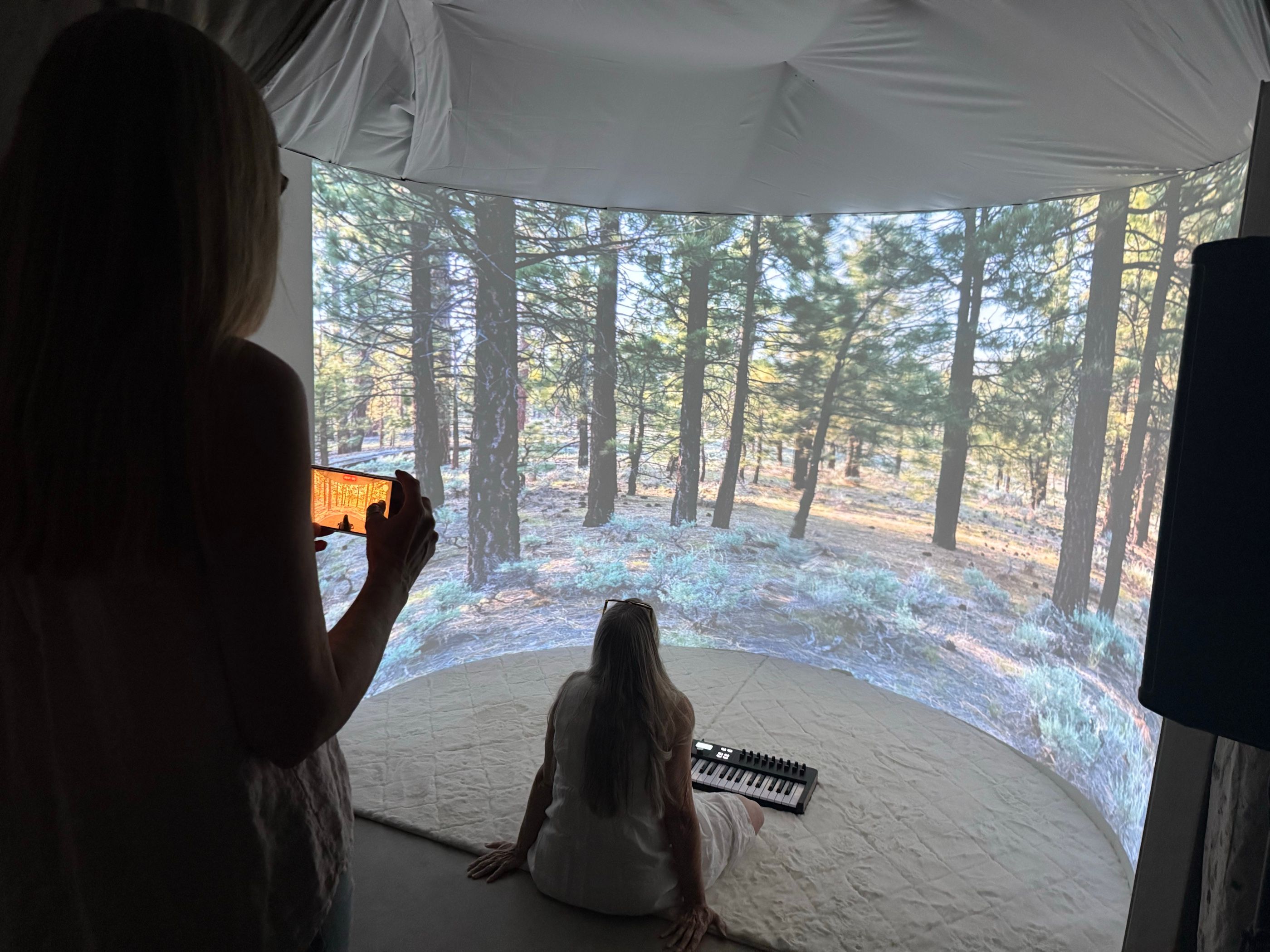A pine forest from a visitor’s photograph, filling the curved wall while she sits at the keyboard.